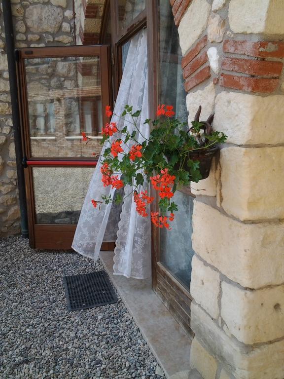 Agriturismo Corte Galvani ネグラール エクステリア 写真