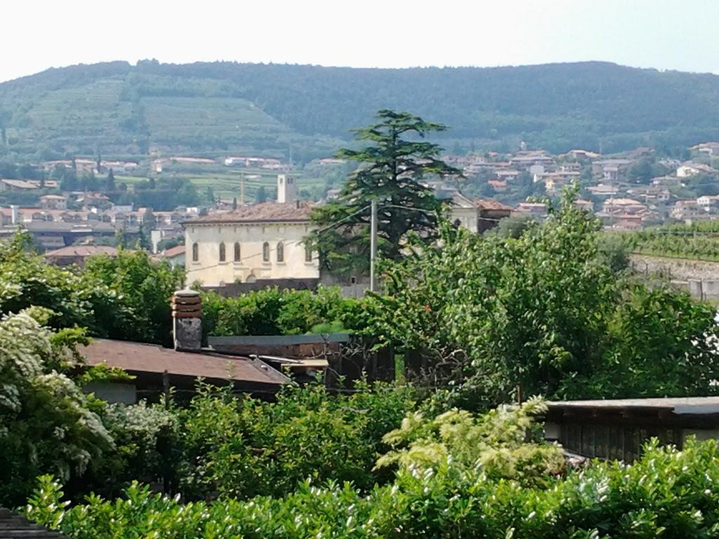 Agriturismo Corte Galvani ネグラール エクステリア 写真